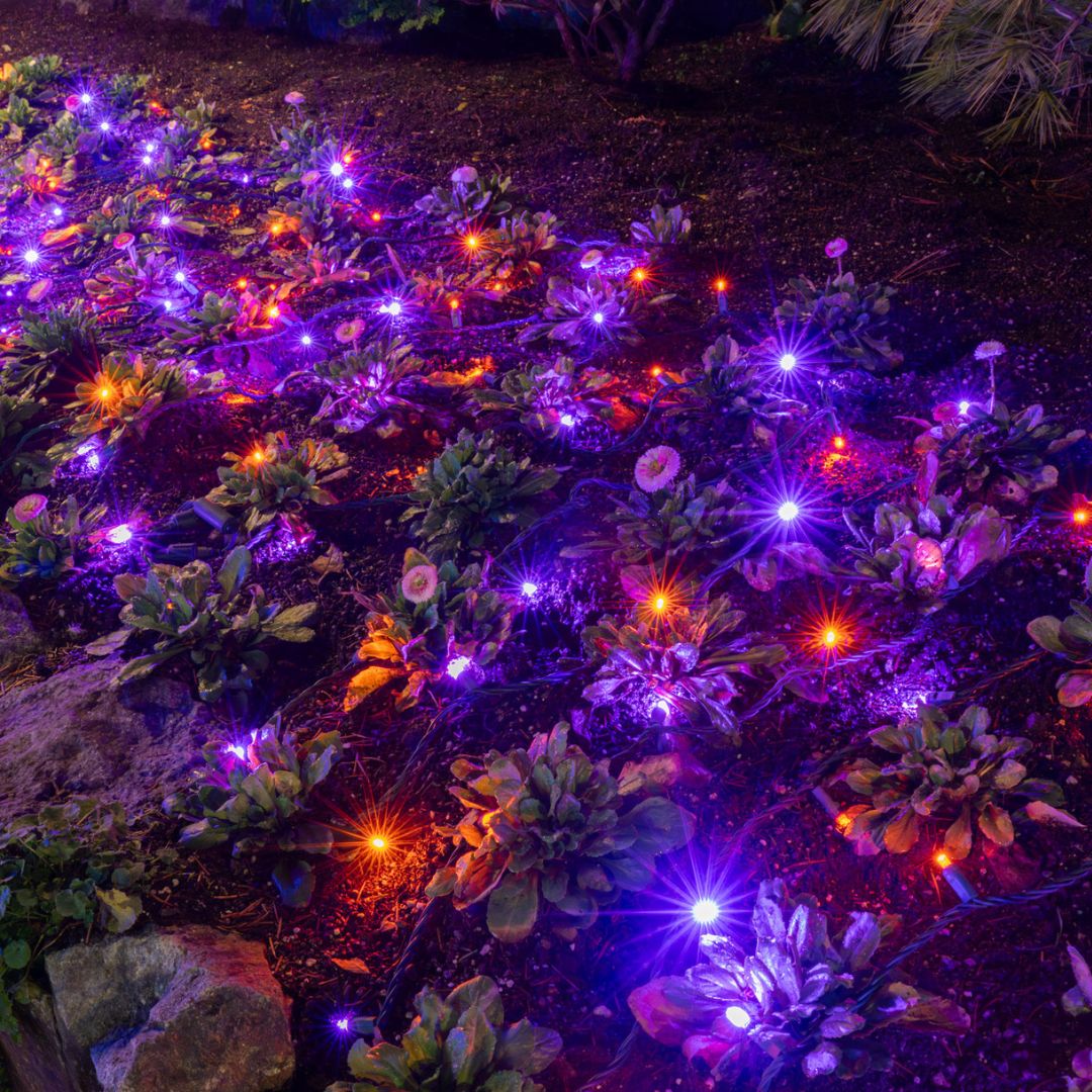 Here's How to Use Christmas Lights to Decorate for Halloween