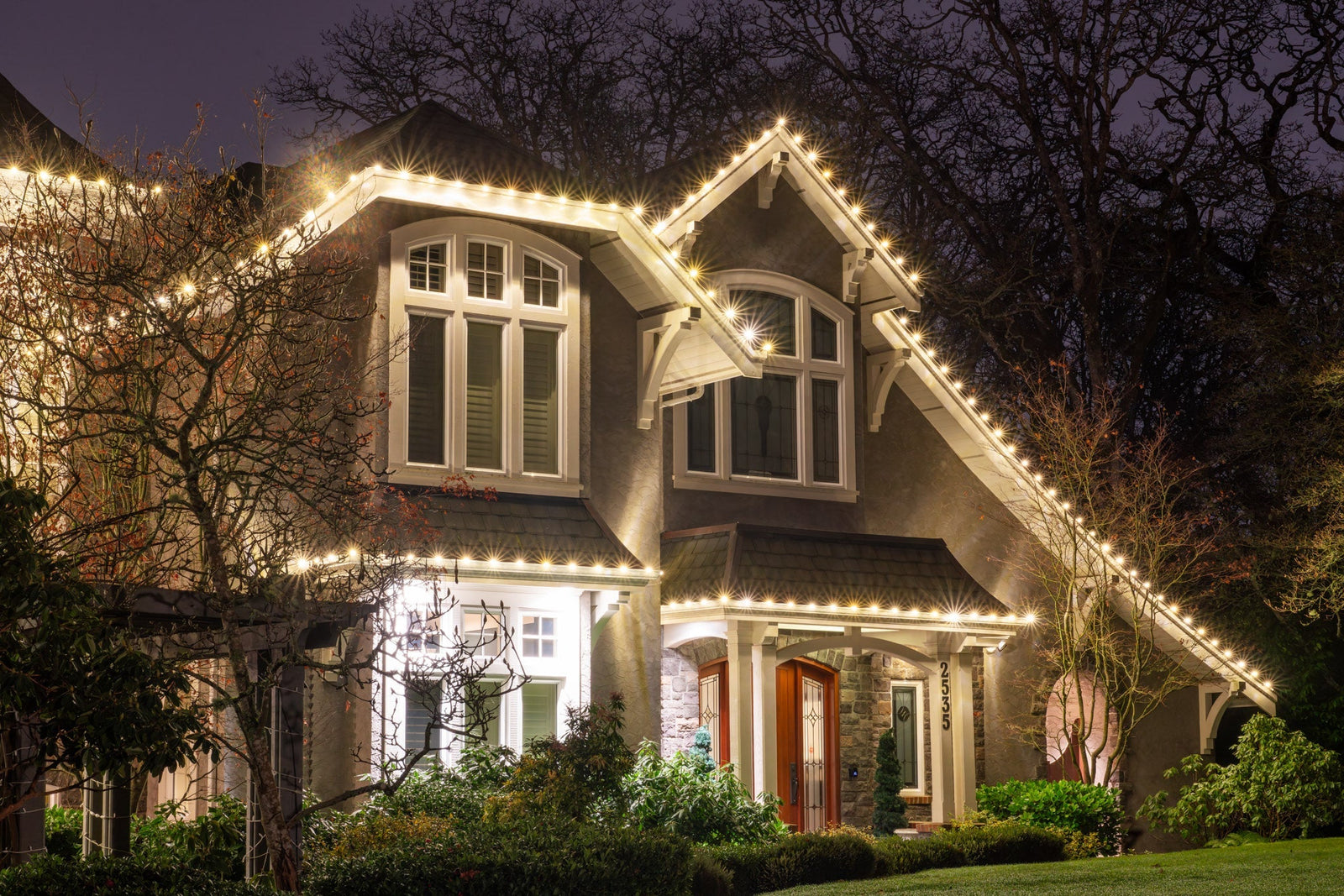 G30 Warm White Christmas Lights on your dream home