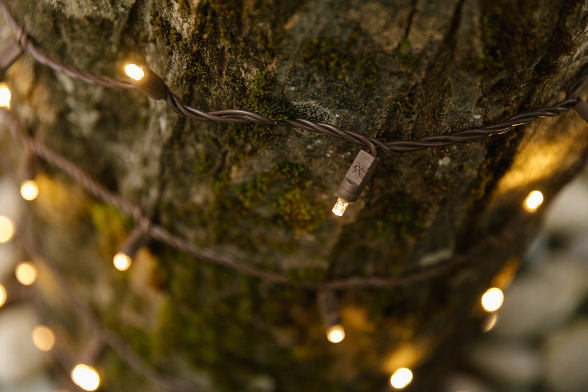 Steady Mini Lights - Brown Wire (25 ft)