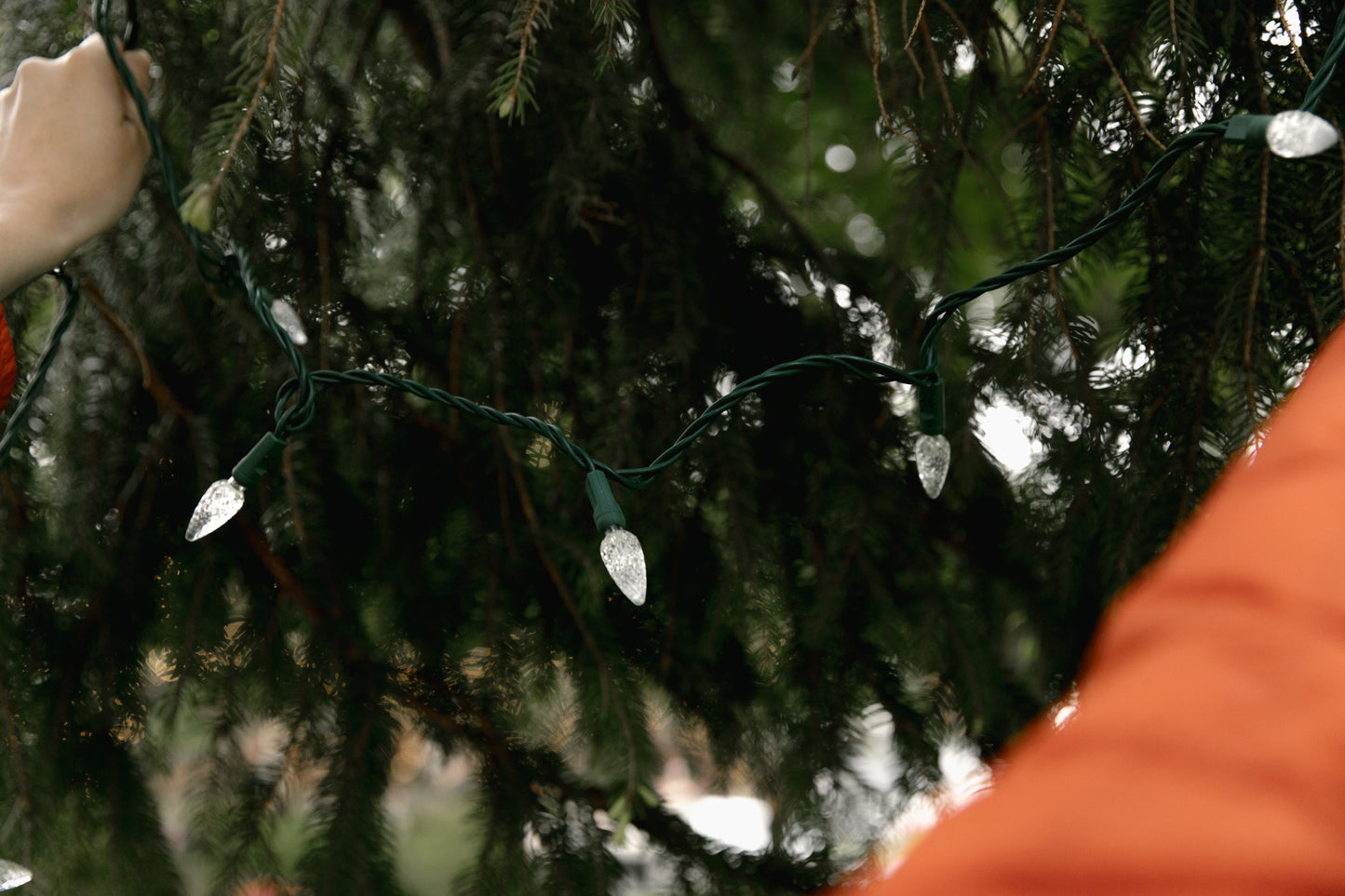 C6 String Light (Single-Colour)