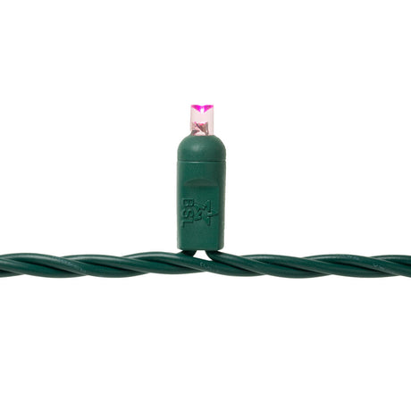 Steady Mini Lights - Green Wire - Standard Plug (25 ft)