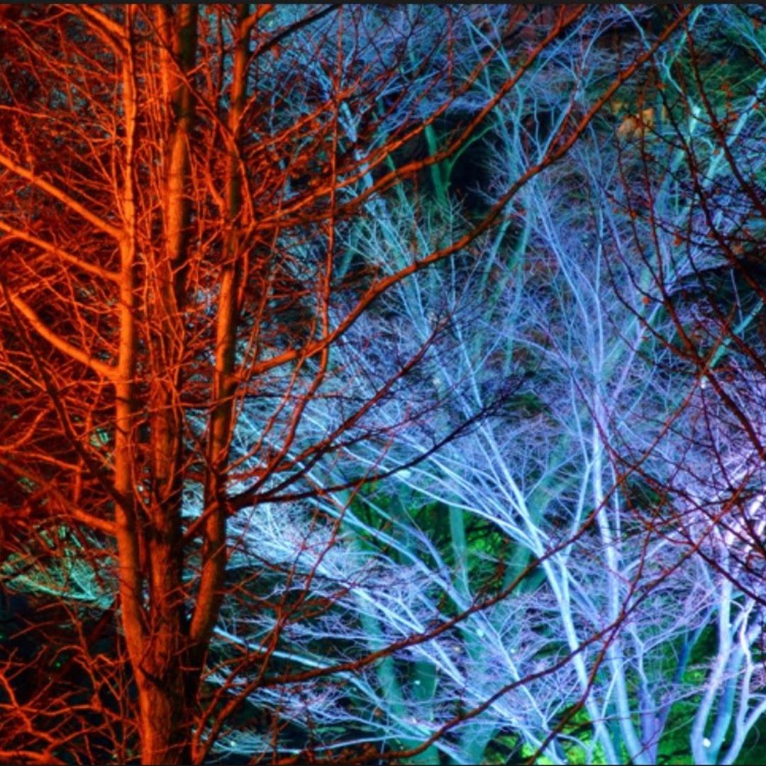 Chromaglow Pro RGBW Floodlight with Strap