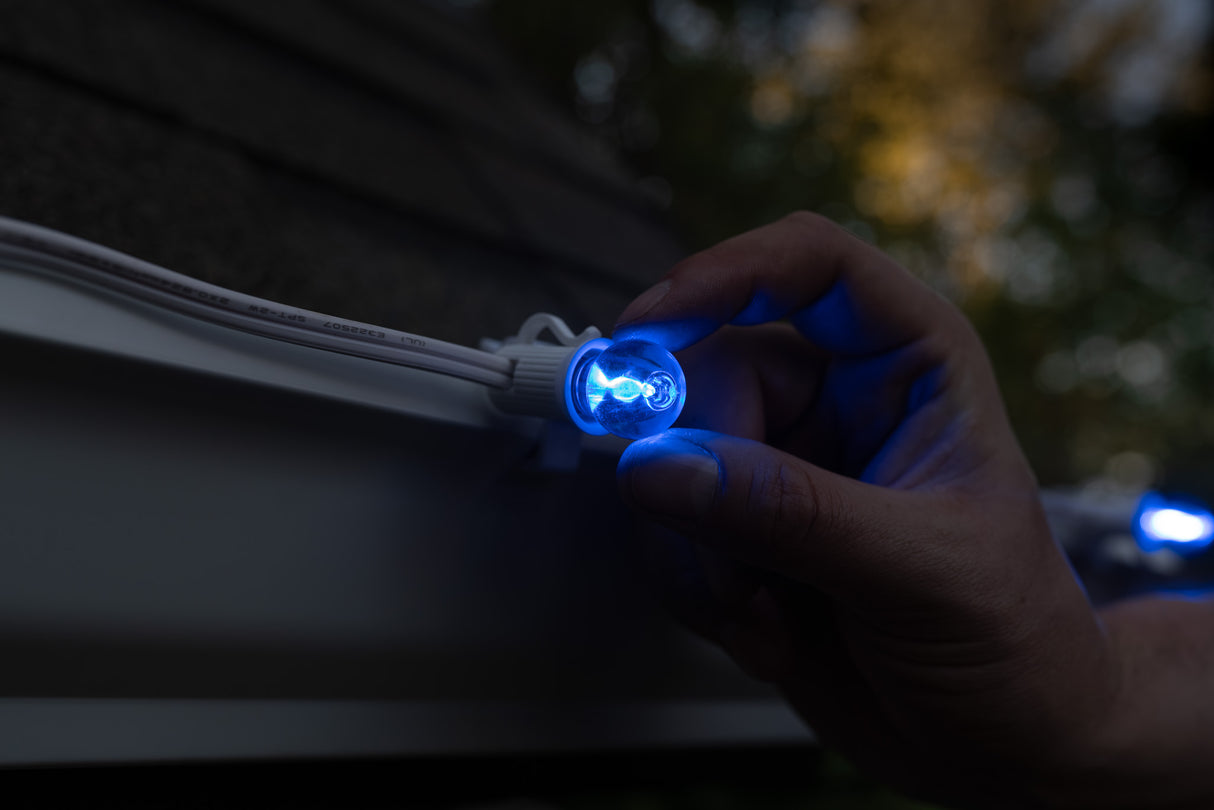 G20 Bulbs (Pack of 25)