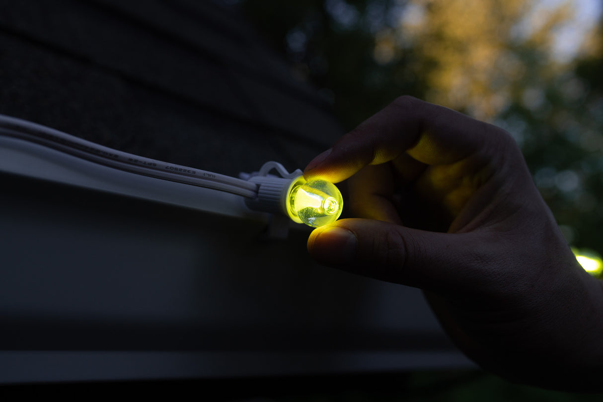 G20 Bulbs (Pack of 25)