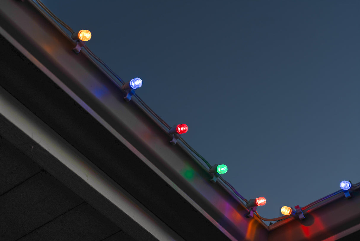 G20 Bulbs (Pack of 25)