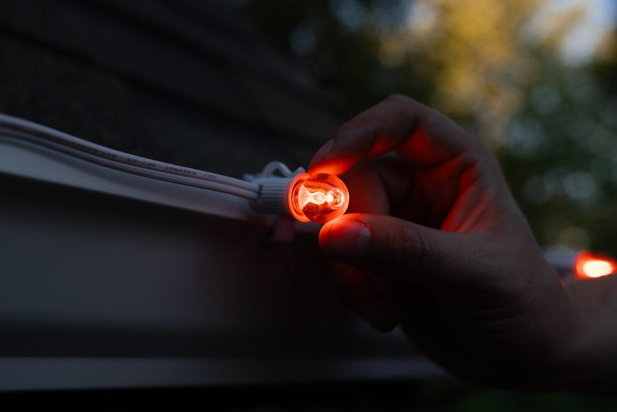 G20 Bulbs (Pack of 25)