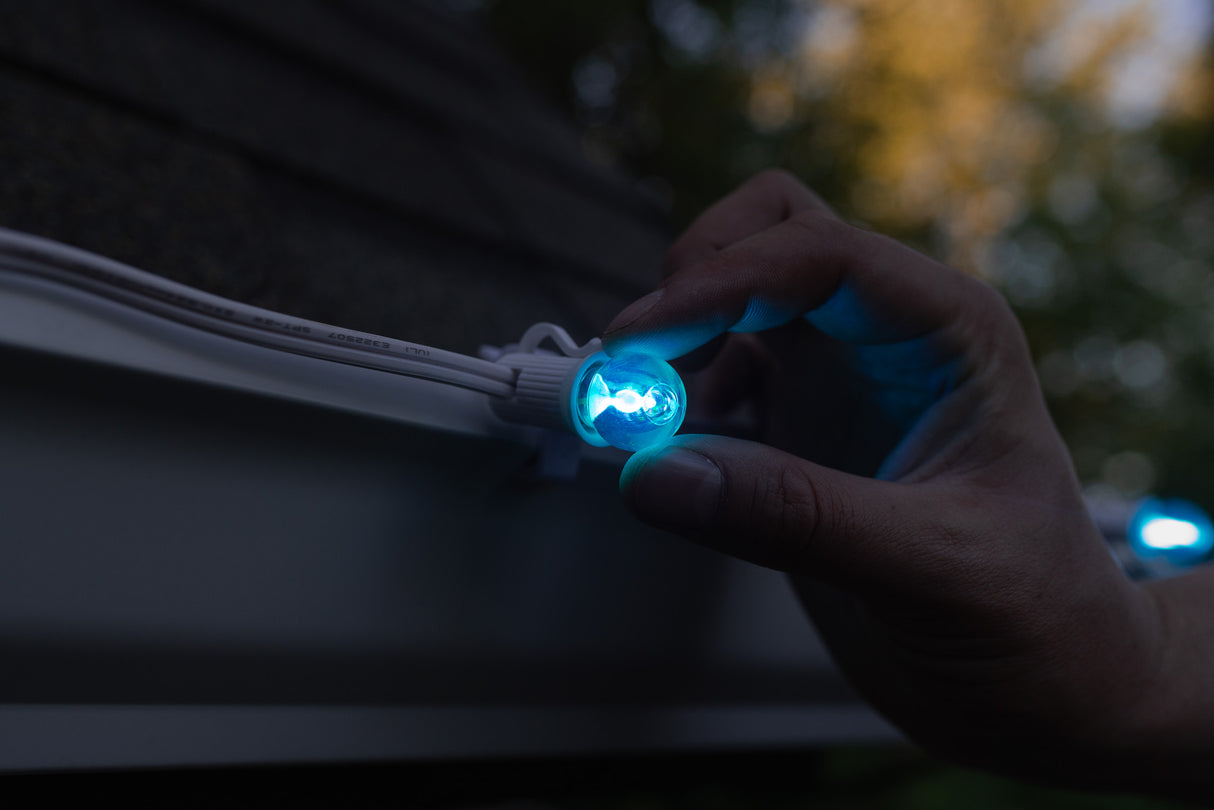 G20 Bulbs (Pack of 25)