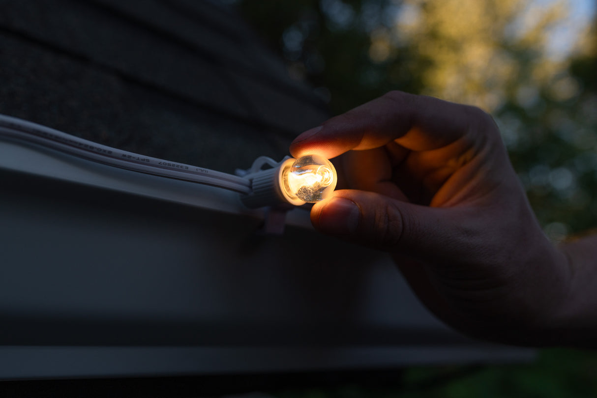 G20 Bulbs (Pack of 25)