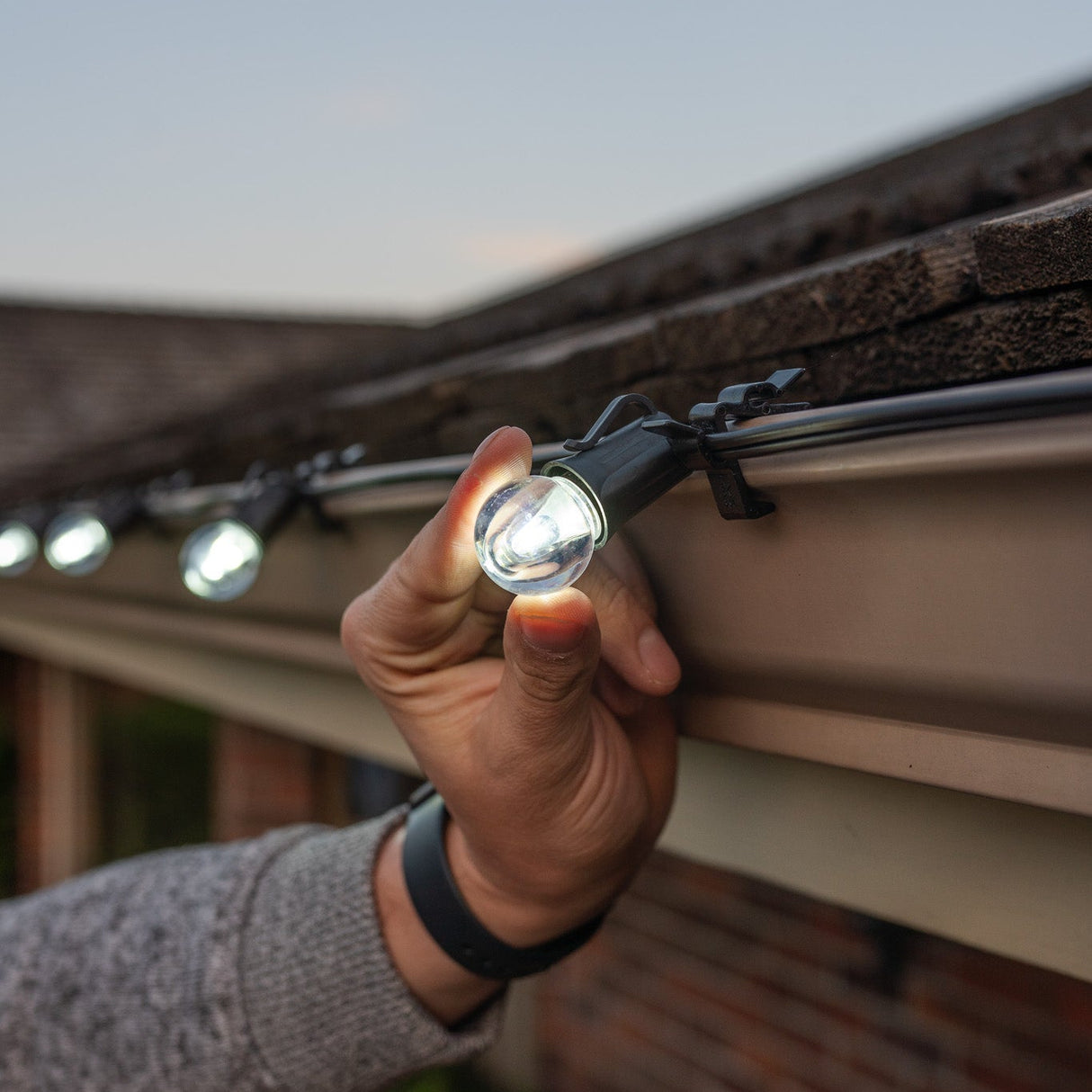 G30 Bulbs (Pack of 25)