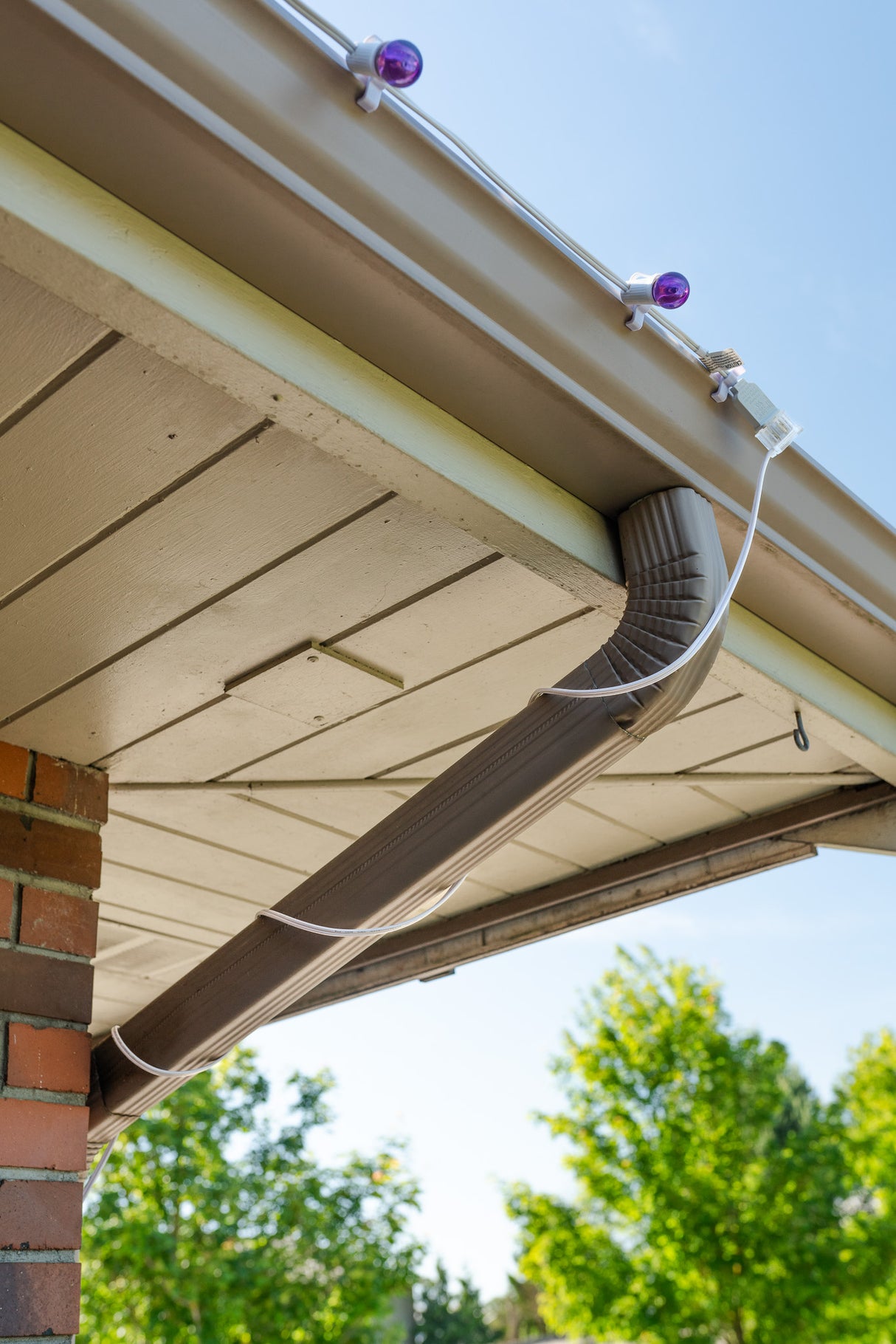 Power Cord (1000 ft) Pre-order