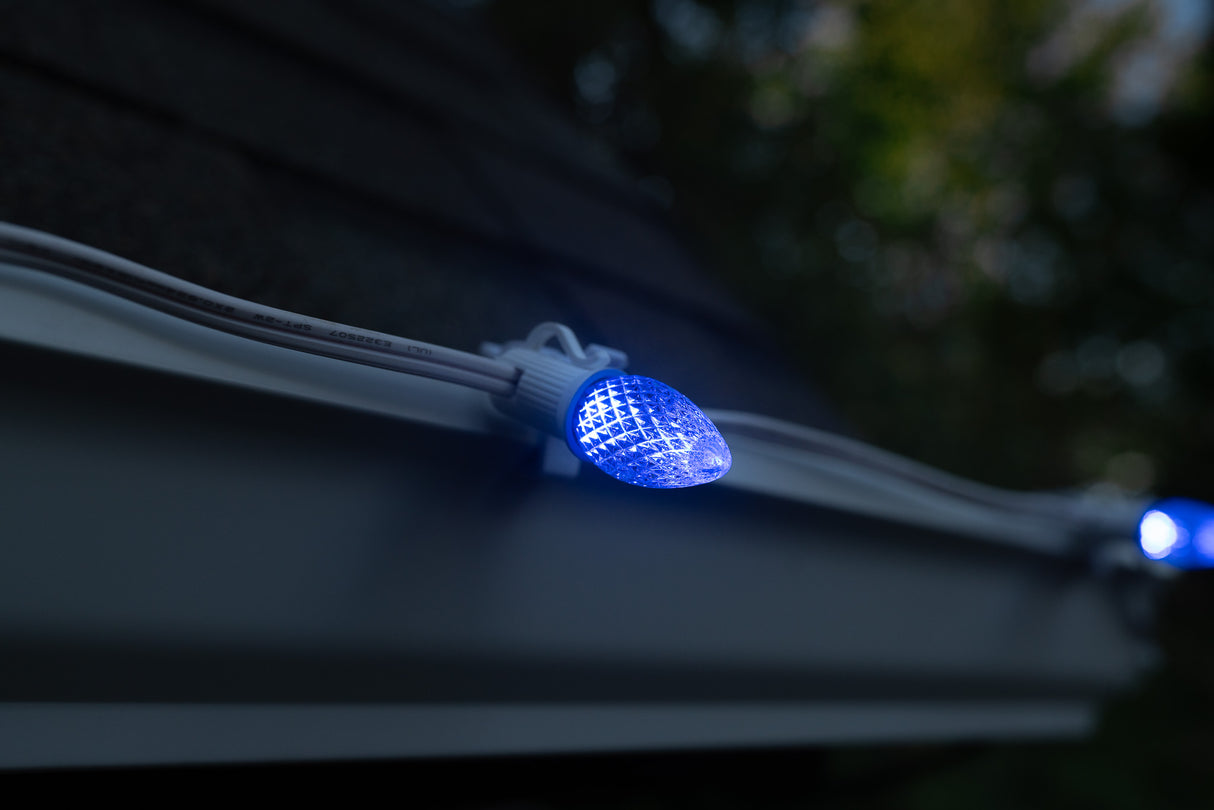 C7 Bulbs (Pack of 25)