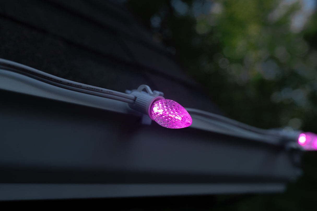 C7 Bulbs (Pack of 25)