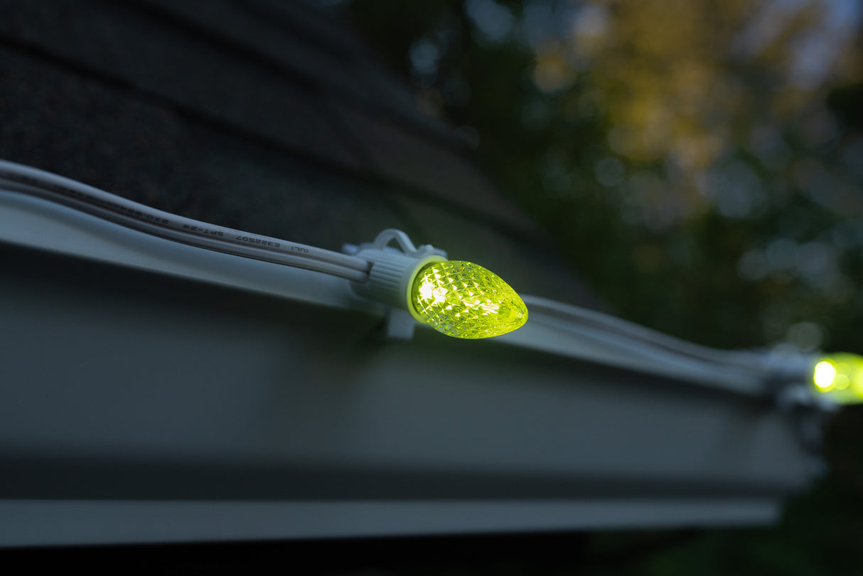 C7 Bulbs (Pack of 25)