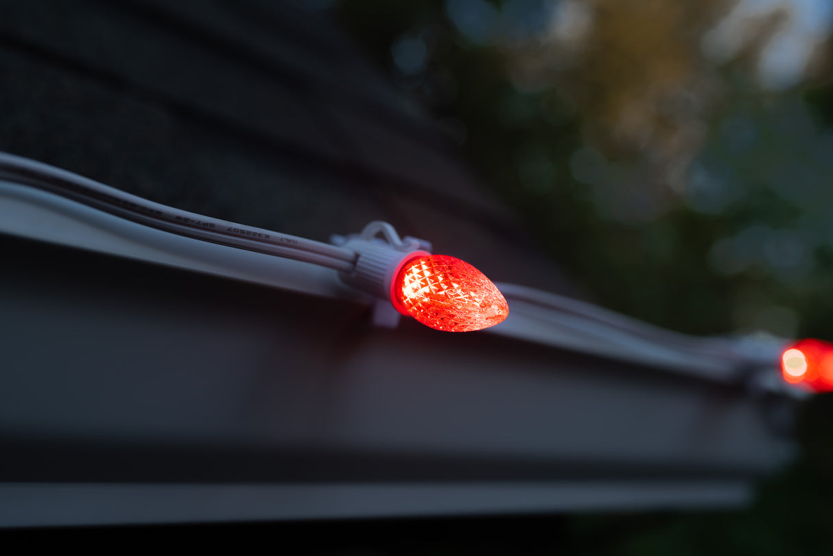 C7 Bulbs (Pack of 25)