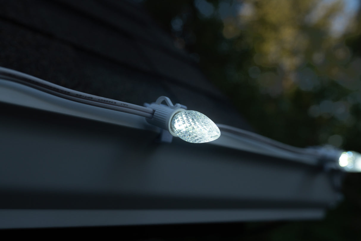 C7 Bulbs (Pack of 25)