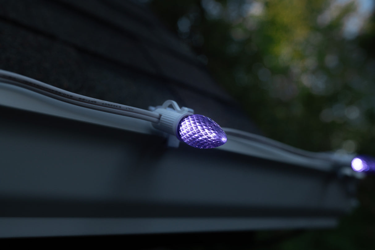 C7 Bulbs (Pack of 25)