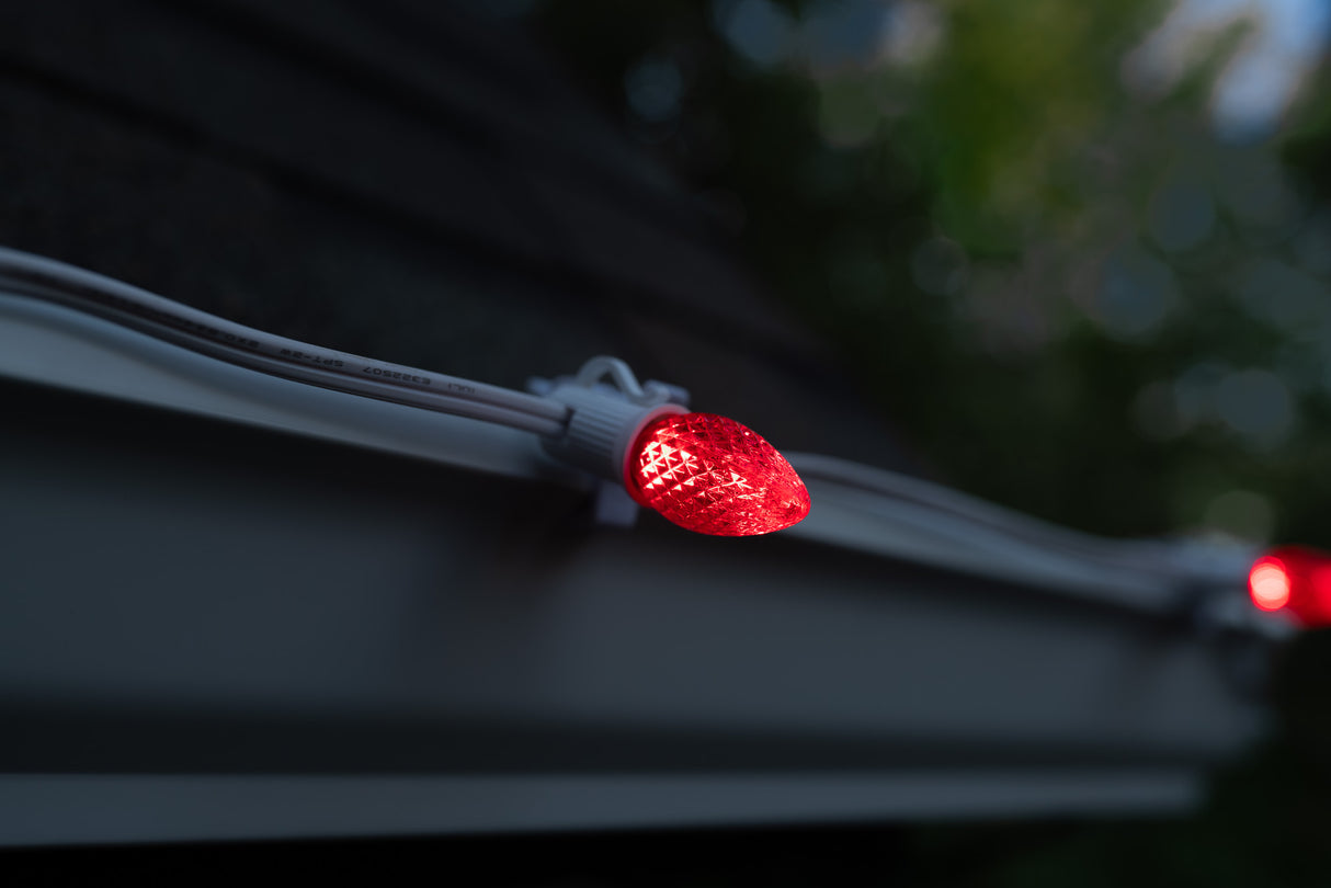 C7 Bulbs (Pack of 25)