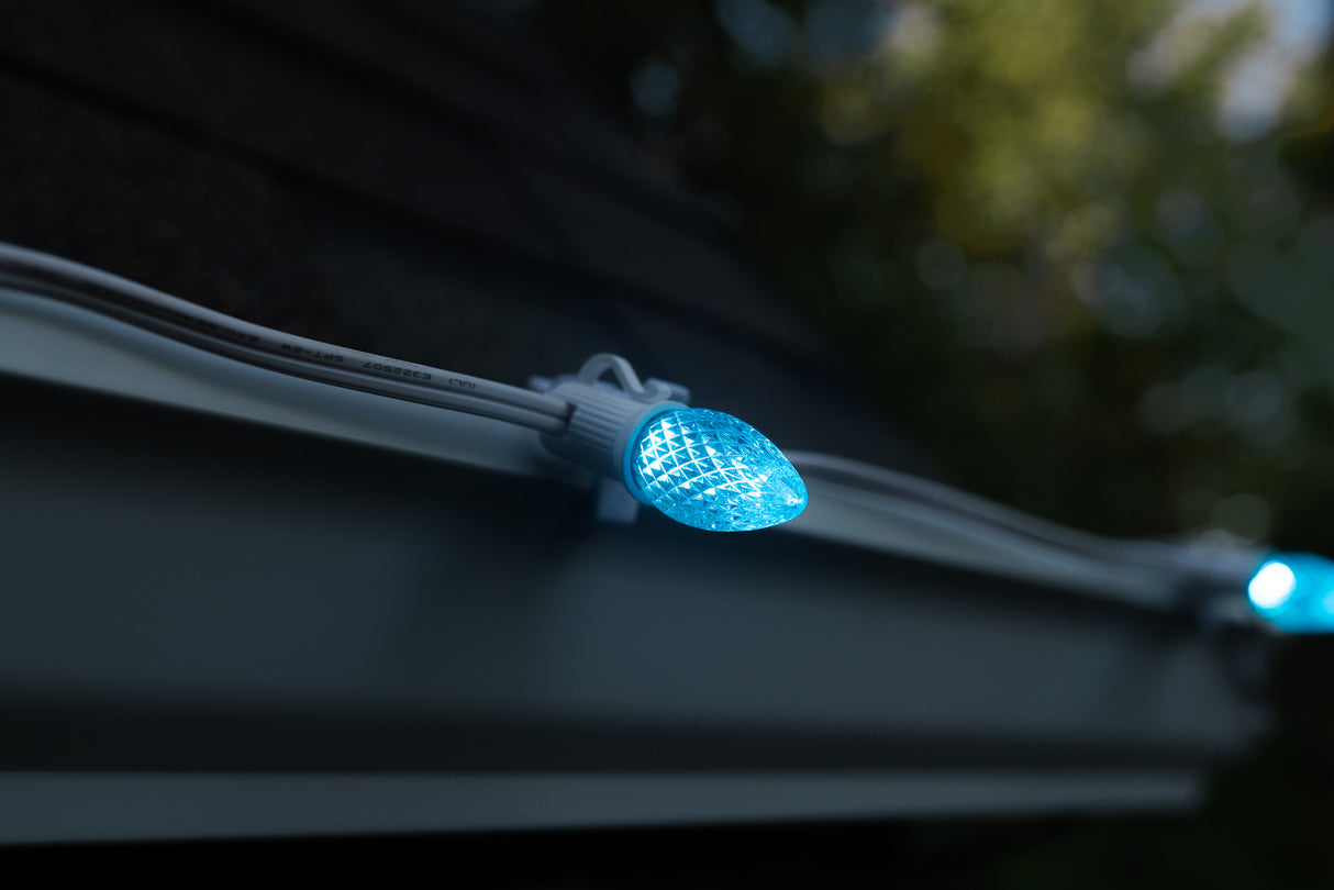 C7 Bulbs (Pack of 25)