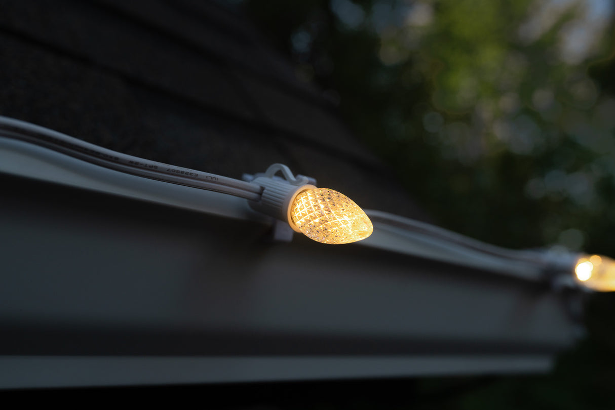 C7 Bulbs (Pack of 25)