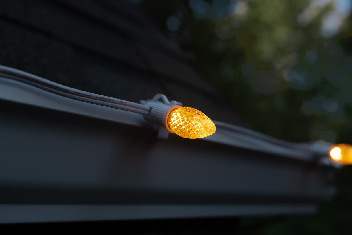 C7 Bulbs (Pack of 25)