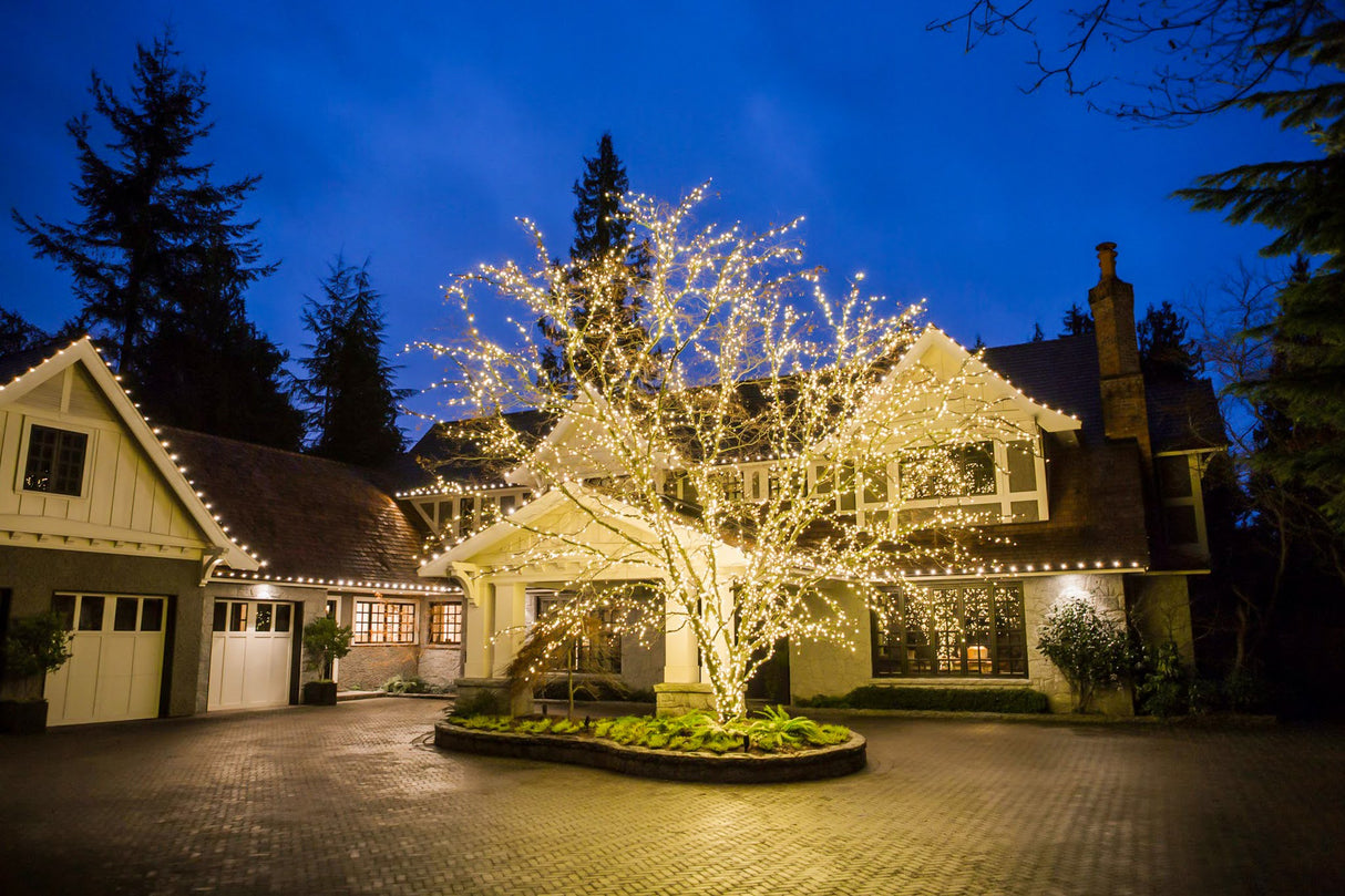 200ft Roofline Bundle - C9 Bulbs