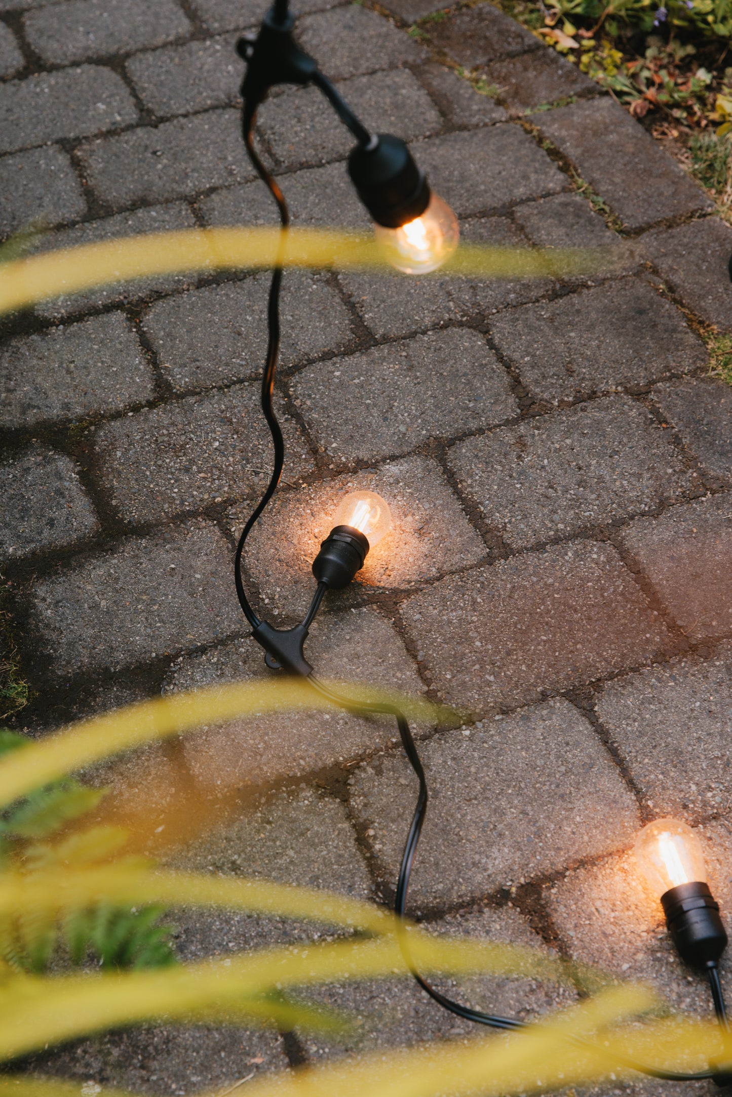 S14 Bulb (Warm-White)