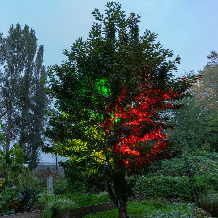 36W Flood Light (Branch Mount)