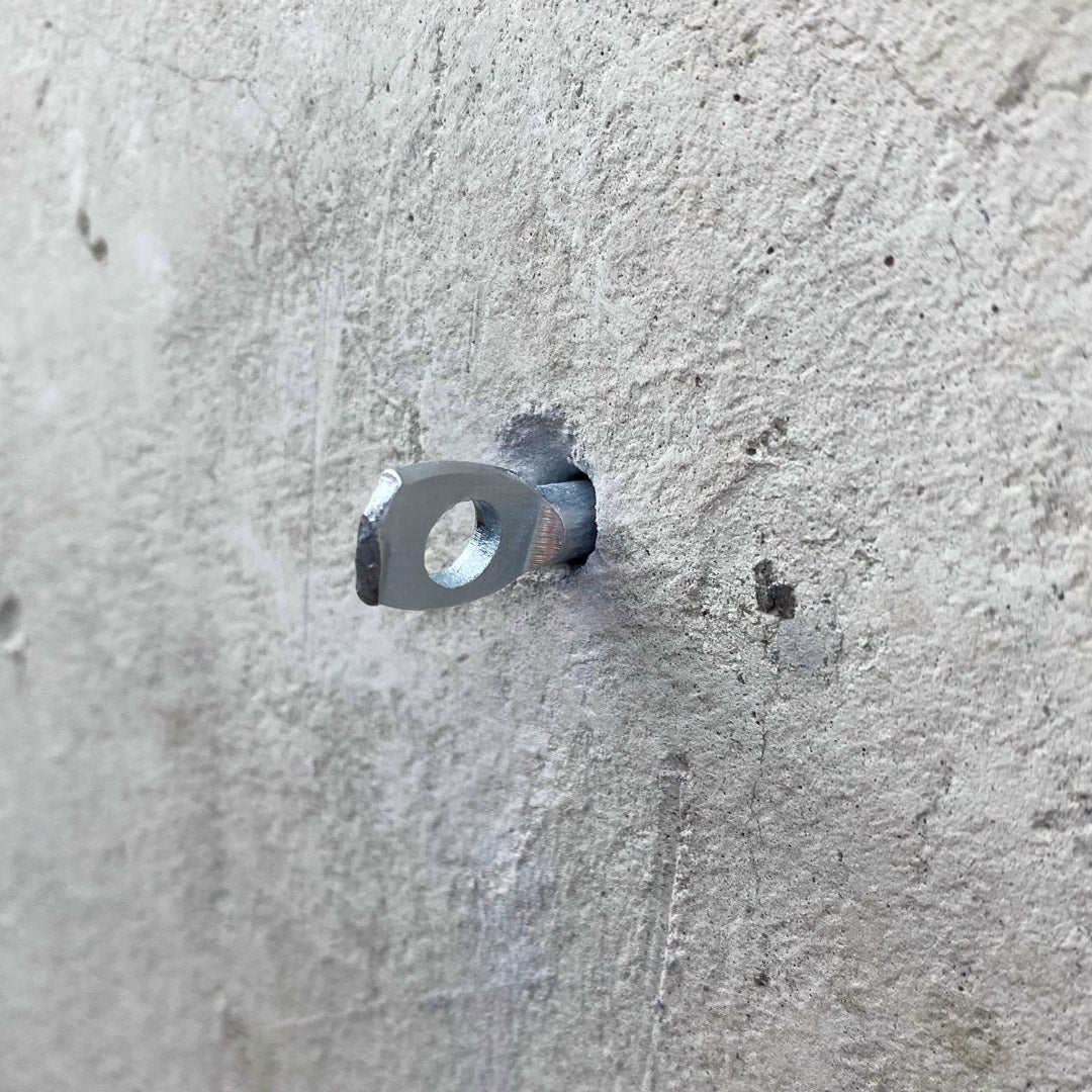 Concrete Anchor Eye Bolt (50 pack)