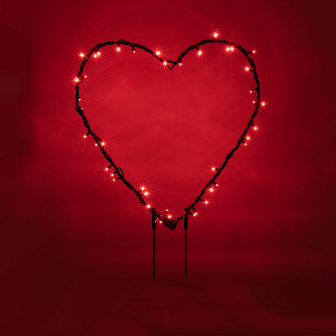 Solidarity Heart (30")