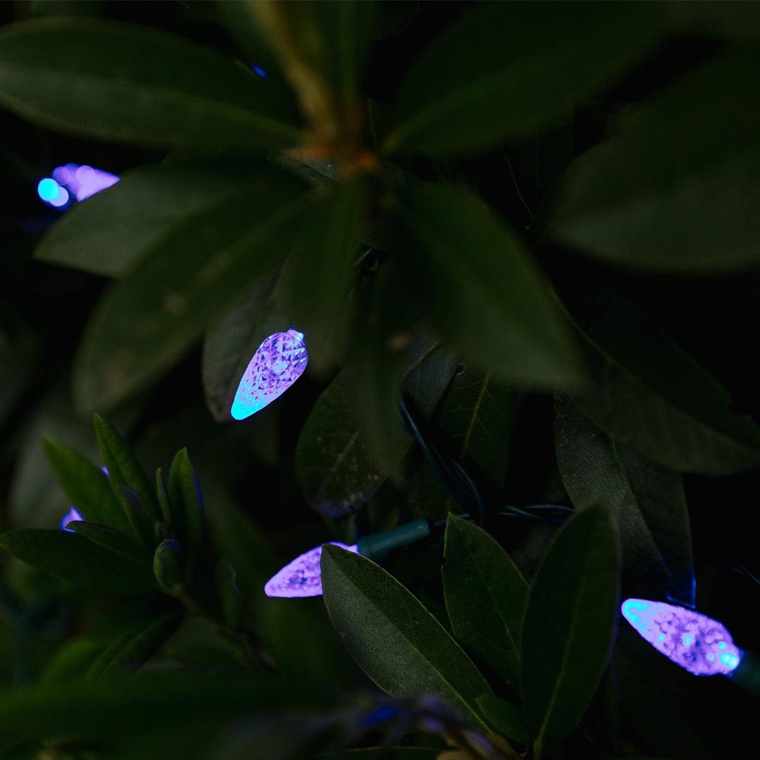 C6 String Light (Single-Colour)