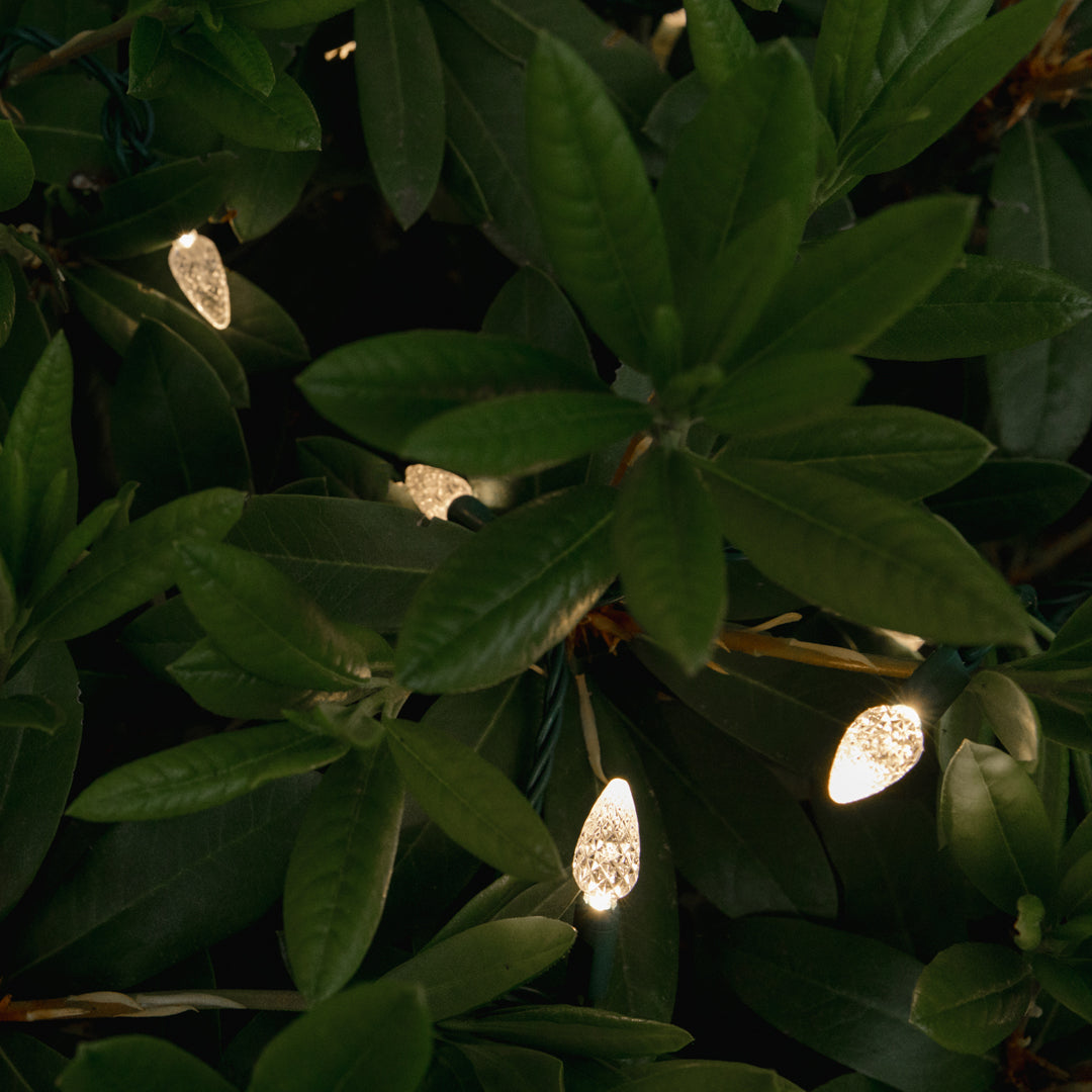 C6 String Light (Single-Colour)