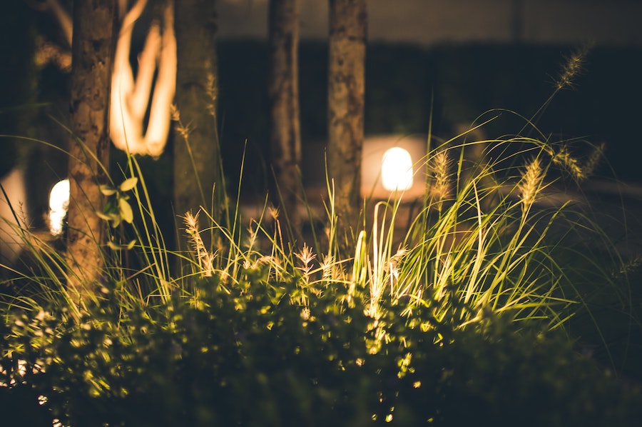 5 Ways to Spruce Up Your Backyard with Lighting