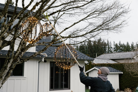 Professional Christmas light installer uses a hanging pole to string Mini Lights onto a tree