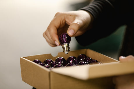 Hand pulling purple G30 bulb out of a box