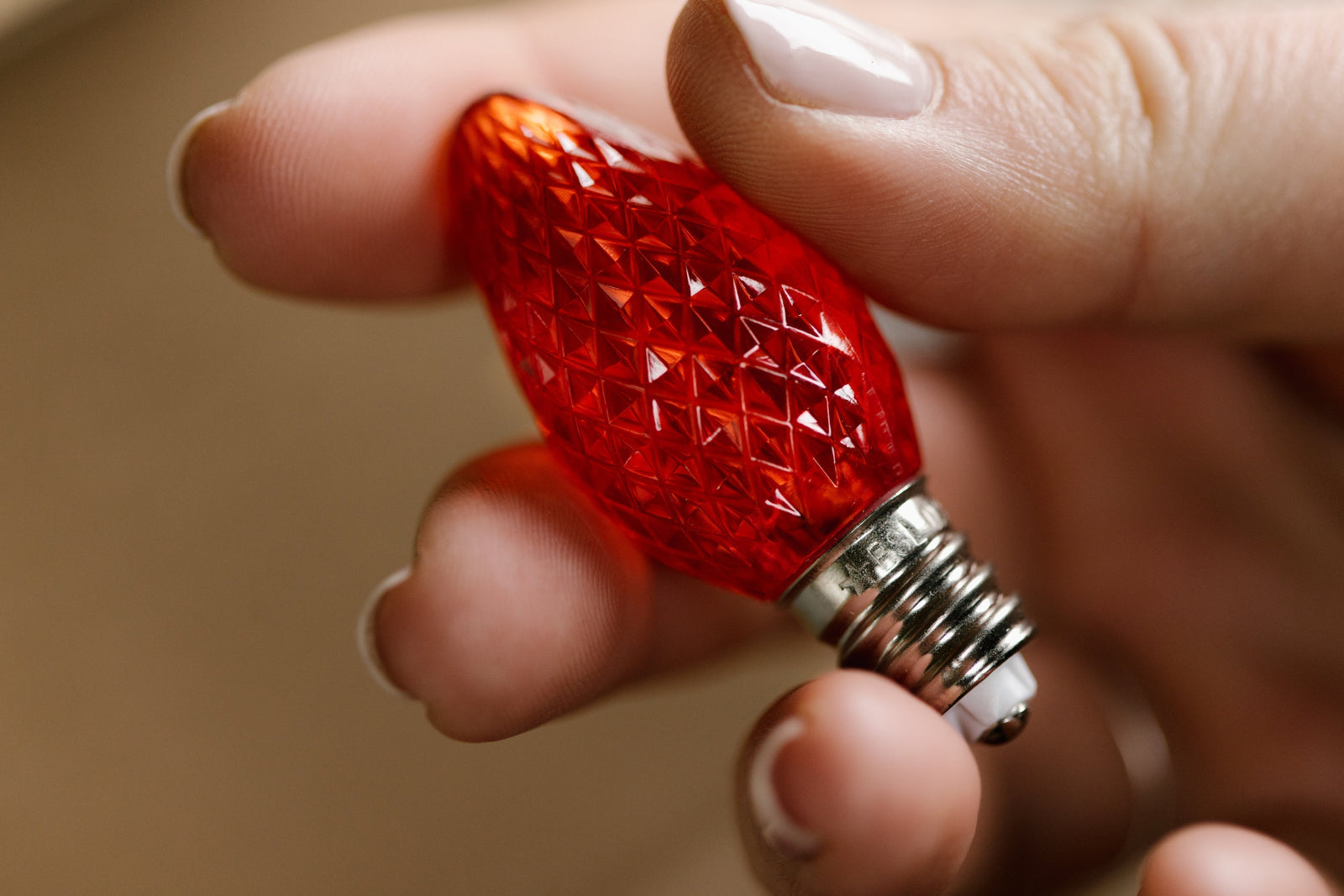 How to Add Christmas Light Installation to Your Painting Business