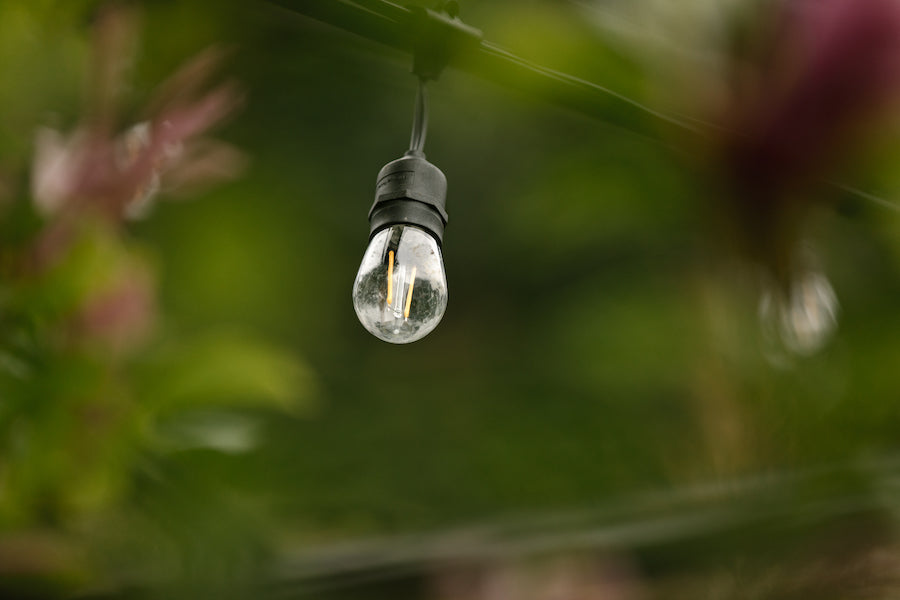 Different Types of Replaceable Light Bulbs and Why We Love Each One