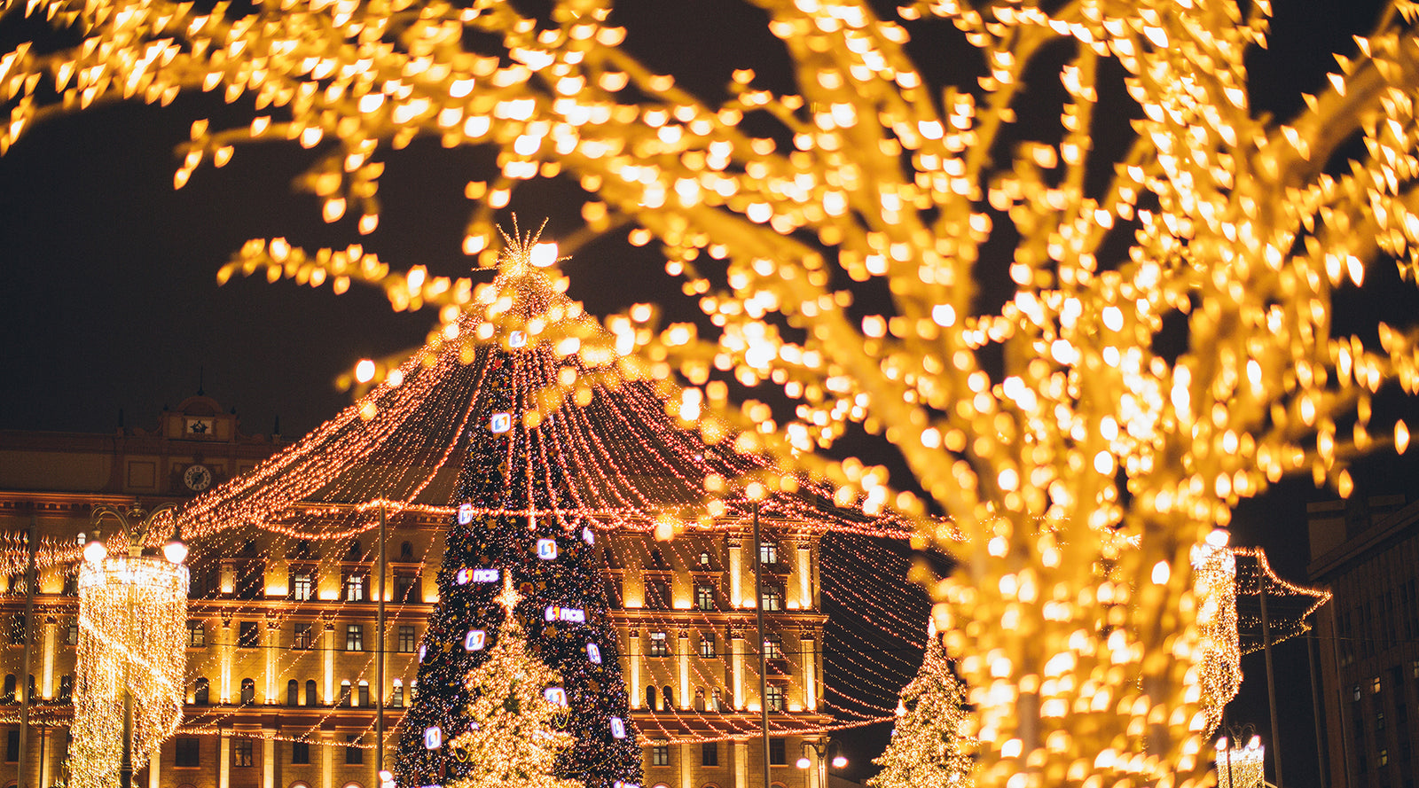 Warm white mini lights around a tree