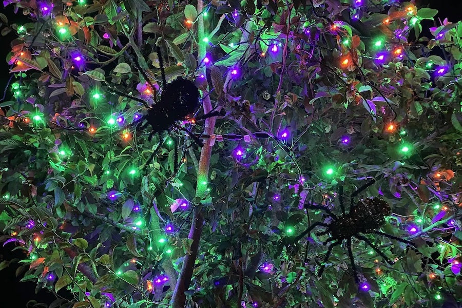 Christmas Lights for Halloween? Oh YES!