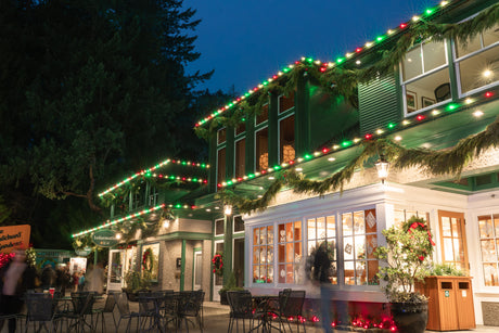 Red, green, and white Christmas lights with garland display 