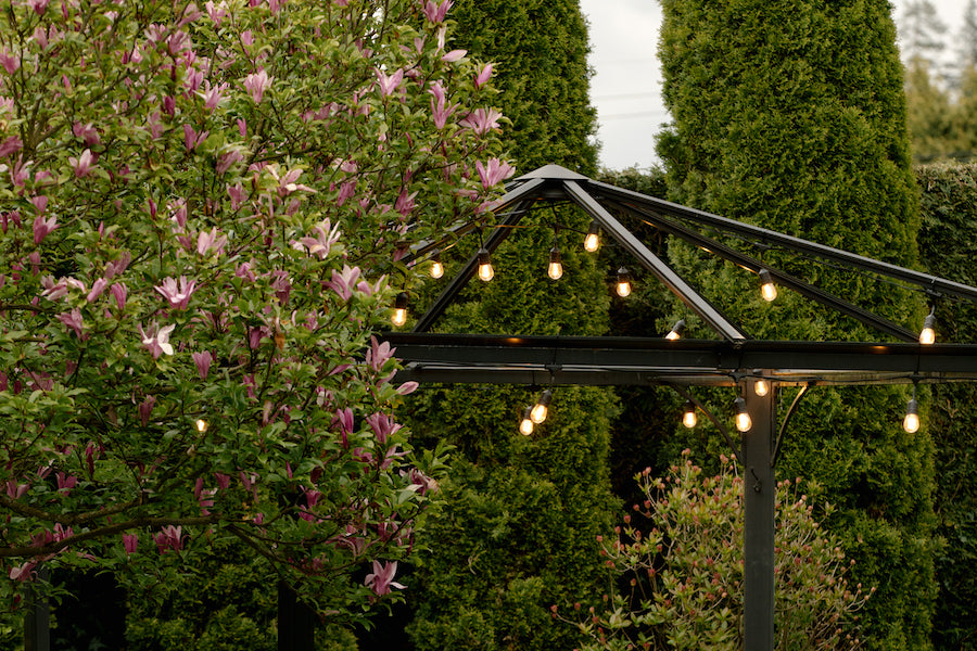 Patio Lights are Perfect for an Outdoor Summer
