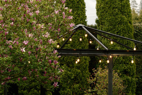 Patio Lights are Perfect for an Outdoor Summer