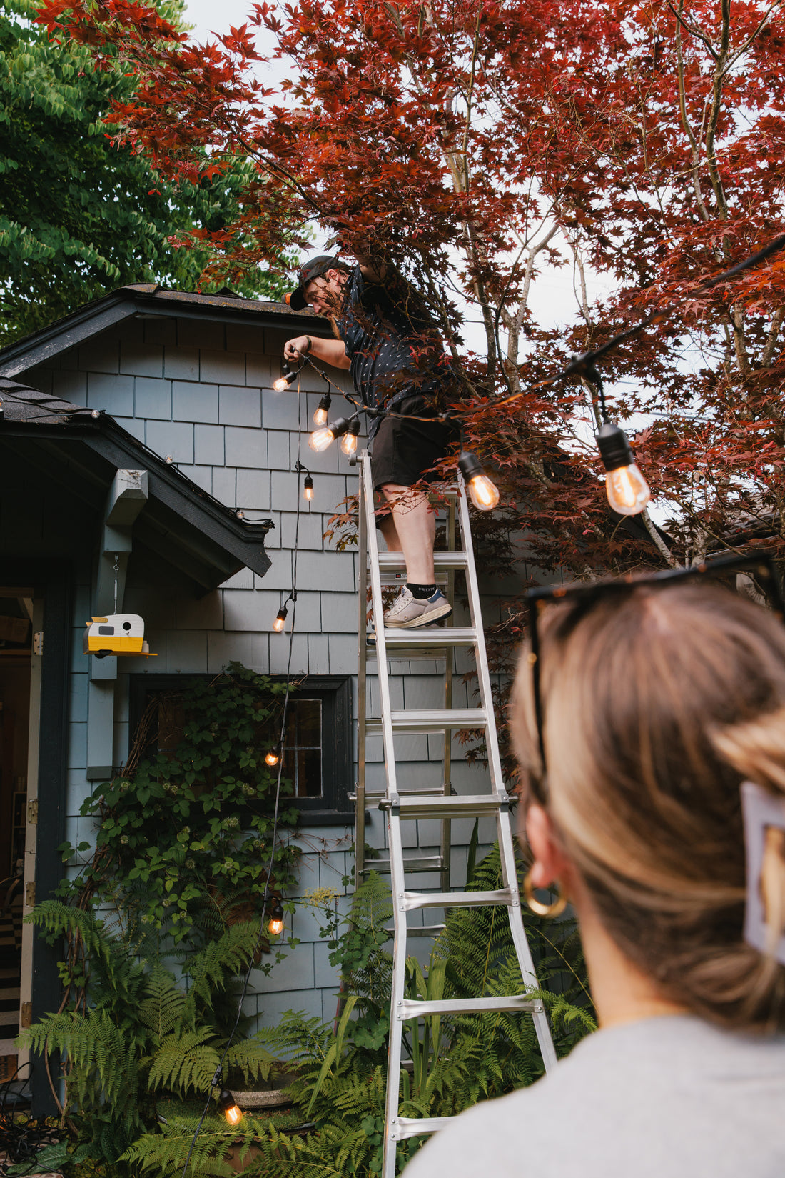 Transforming Your Christmas Light Business into a Summer Success