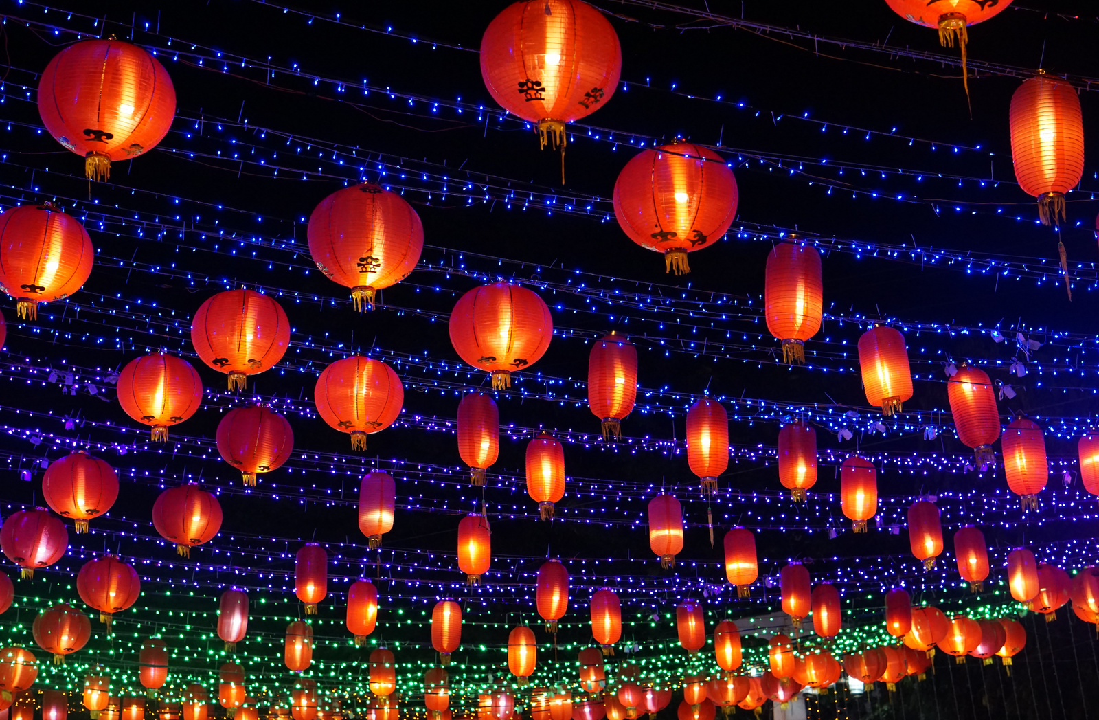 Festival lanterns Lunar New Year with blue mini lights