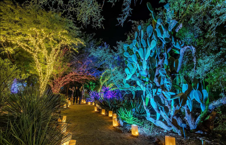 Stunning Tucson, AZ Christmas Light Display