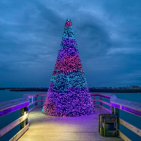 Purple red and green Twinkly lights light up an outdoor Christmas tree