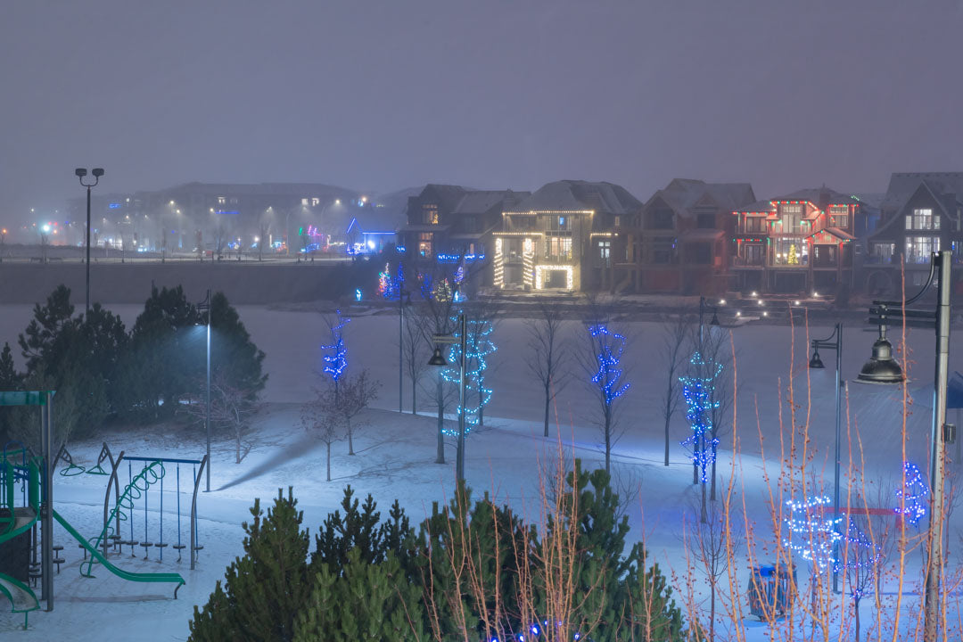 Playground surrounded by Blue Mini Lights trees