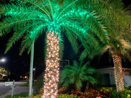 4 Qualities that Keep our Christmas Lights Bright in Hot, Sunny Weather