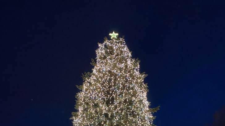 Creative Christmas Tree Lighting