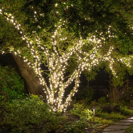 Big star lighting deals