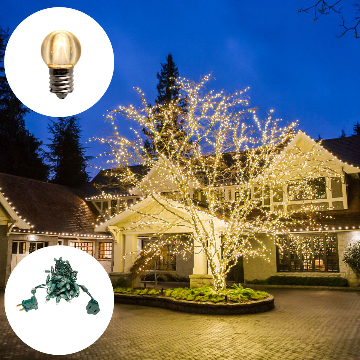 Pro Starter Bundle - 10 Homes (G30 Bulbs + Standard Plug Mini Lights)